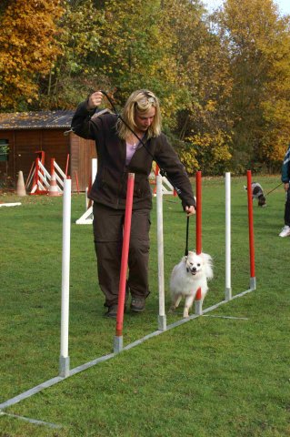 agility 2011-10-30
